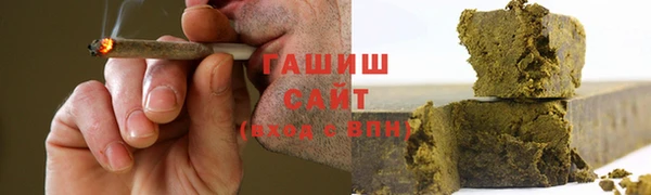 прущие грибы Верея